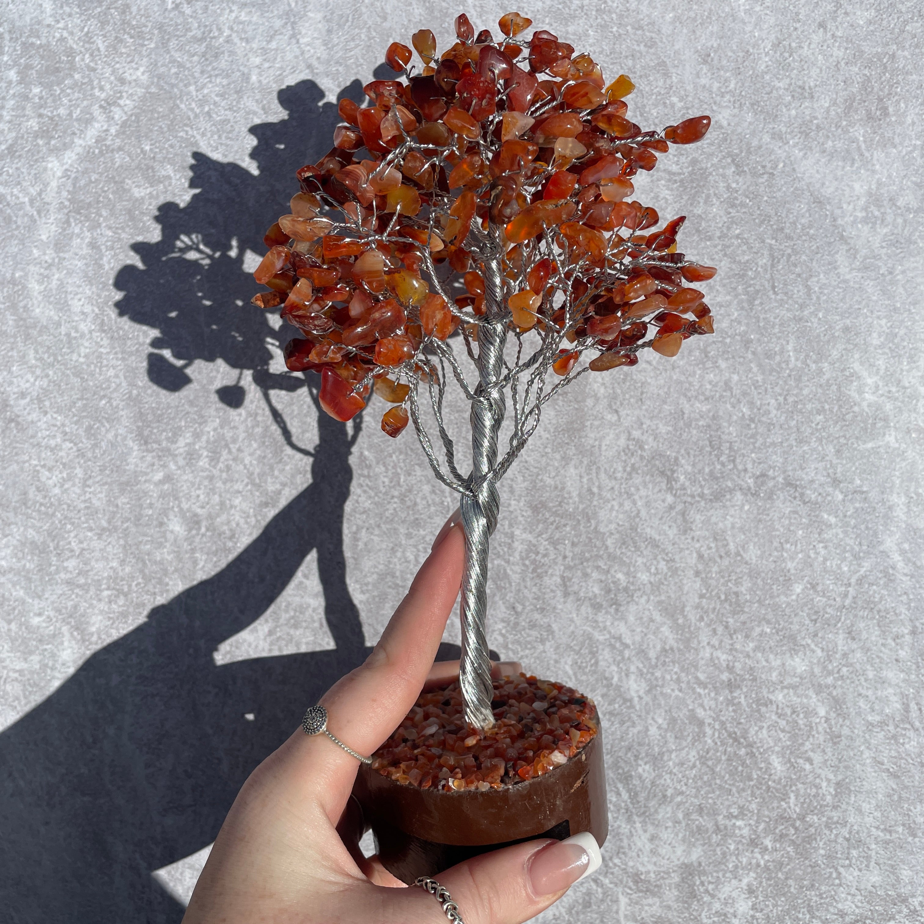 Carnelian Tree - Medium 016 Carnelian Tree - Medium 016
